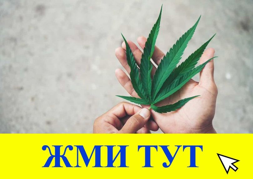 Купить наркотики в Зернограде